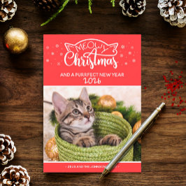 Meowy Christmasと正真正銘のフォトカード