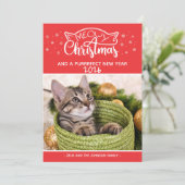 Meowy Christmasと正真正銘のフォトカード (スタンド正面)