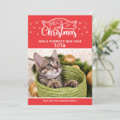 Meowy Christmasと正真正銘のフォトカード (スタンド正面)