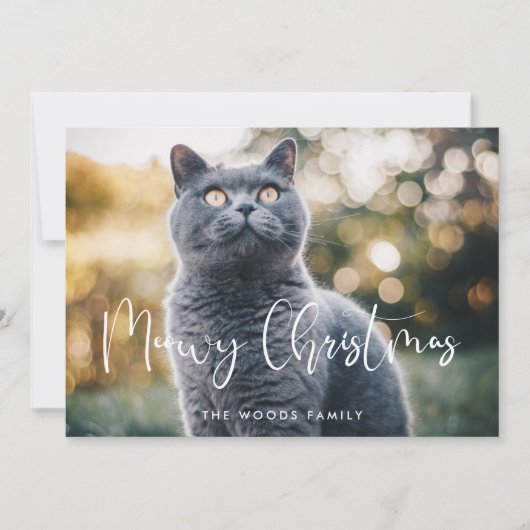 Meowy Christmasエレガント Krightful Cat写真 シーズンカード (正面)