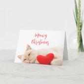 Meowy Christmas おもしろい Cat Photo Holiday Card サンキューカード (正面)
