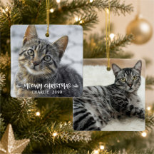 MEOWY CHRISTMAS 猫の名前 写真