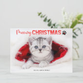 Meowy Christmas 3フォト猫好きペットポープリントホー シーズンカード (スタンド正面)