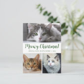 Meowy Christmas 3写真 シーズンポストカード (スタンド正面)