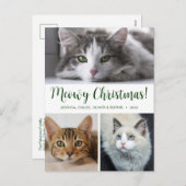 Meowy Christmas 3写真 シーズンポストカード (正面/裏面)
