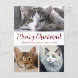 Meowy Christmas 3写真 シーズンポストカード