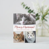 Meowy Christmas 3写真 シーズンポストカード (スタンド正面)