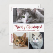 Meowy Christmas 3写真 シーズンポストカード (正面/裏面)