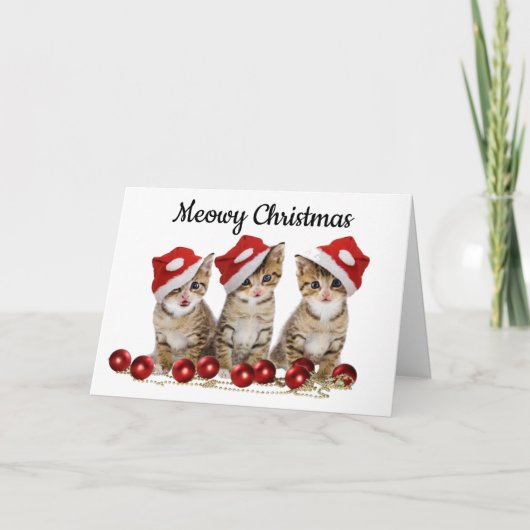 Meowy Christmas Card for猫好き シーズンカード (正面)