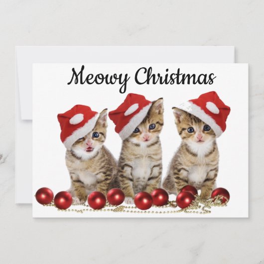 Meowy Christmas Card for猫好き シーズンカード (正面)