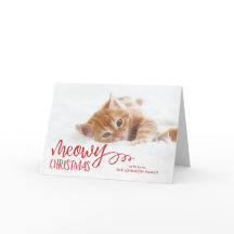 Meowy Christmas Catのペット写真