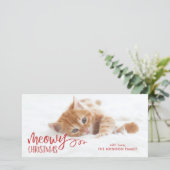 Meowy Christmas Catのペット写真 シーズンカード (スタンド正面)