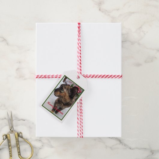 Meowy Christmas Catの写真 ギフトタグ (より糸付き)