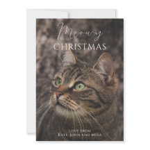 Meowy Christmas Catの写真
