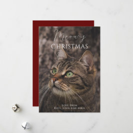 Meowy Christmas Catの写真 シーズンカード