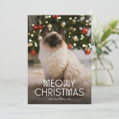 Meowy Christmas Catの写真 シーズンカード (スタンド正面)