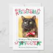 Meowy Christmas Cat写真クリスマス シーズンカード (正面)