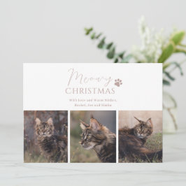 Meowy Christmas Cat写真クリスマス シーズンカード