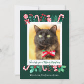Meowy Christmas Cat写真クリスマス シーズンカード (正面)