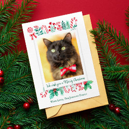 Meowy Christmas Cat写真クリスマス シーズンカード