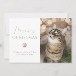 Meowy Christmas Cat写真クリスマス シーズンカード