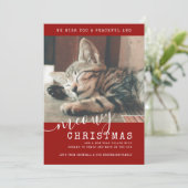 Meowy Christmas Cat写真可愛いシンプル シーズンカード (スタンド正面)
