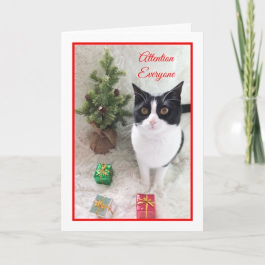 Meowy Christmas Cat Card -- Attention Everyone シーズンカード (正面)