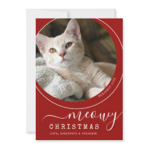 Meowy Christmas Cat Kittenの写真赤と白