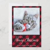 Meowy Christmas Cat Pet写真Red Buffalo Plaid シーズンカード (正面)