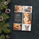 Meowy Christmas - Cat Photo Collage 案内状<br><div class="desc">白い魅力的ハンドレタの書フォントにミオワのクリスマスと黒と白のクリスマスのカードと耳とウィスカーと一緒に。猫の写真5枚、名前と年を加えて。</div>