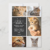 Meowy Christmas - Cat Photo Collage 案内状 (正面)