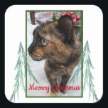 Meowy Christmas Cat Photo Evergreen Fractal Bough スクエアシール<br><div class="desc">カスタマイズ可能な猫の写真を使用したステッカーで、自分の写真に置き換えることができる。それは「メオウィクリスマス」というメッセージを特集している。2つのフラクタル芸術の常緑の枝が写真の両側に側面に側面を置く。写真は縁ど緑で、メッセージは書赤である。このシールをカード、文字、パッケージ、または任意の場所に置いて、小さな応援を追加する。</div>