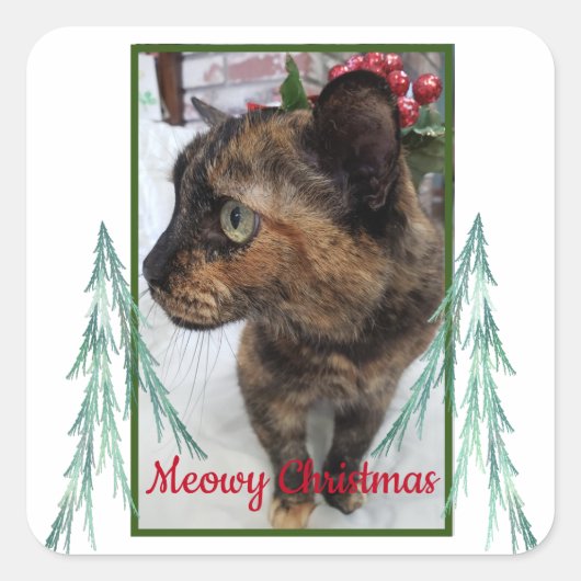 Meowy Christmas Cat Photo Evergreen Fractal Bough スクエアシール (正面)