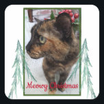 Meowy Christmas Cat Photo Evergreen Fractal Bough スクエアシール<br><div class="desc">カスタマイズ可能な猫の写真を使用したステッカーで、自分の写真に置き換えることができる。それは「メオウィクリスマス」というメッセージを特集している。2つのフラクタル芸術の常緑の枝が写真の両側に側面に側面を置く。写真は縁ど緑で、メッセージは書赤である。このシールをカード、文字、パッケージ、または任意の場所に置いて、小さな応援を追加する。</div>