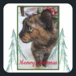 Meowy Christmas Cat Photo Evergreen Fractal Bough スクエアシール<br><div class="desc">カスタマイズ可能な猫の写真を使用したステッカーで、自分の写真に置き換えることができる。それは「メオウィクリスマス」というメッセージを特集している。2つのフラクタル芸術の常緑の枝が写真の両側に側面に側面を置く。写真は縁ど緑で、メッセージは書赤である。このシールをカード、文字、パッケージ、または任意の場所に置いて、小さな応援を追加する。</div>