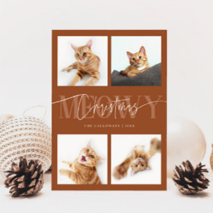 Meowy Christmas Cat Photos Terracota Christmas シーズンカード