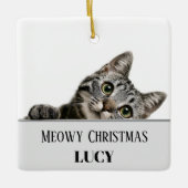 Meowy Christmas Custom Cat Photo & Name Ornament セラミックオーナメント (正面)