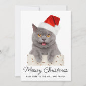Meowy Christmas Cute Cat Holidayカスタム Photo Card 招待状 (正面)