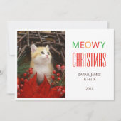 Meowy Christmas Cute Cat Photo Animal Lovers Pet  シーズンカード (正面)