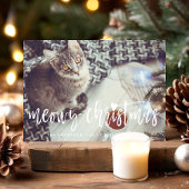 Meowy Christmas Cute Script モダン Pet Cat写真 シーズンカード
