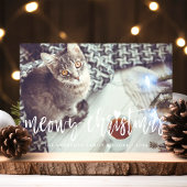 Meowy Christmas Cute Script モダン Pet Cat写真 シーズンカード