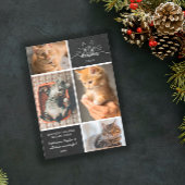 Meowy Christmas - Four Cat Photo Collage 案内状
