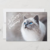 Meowy Christmas Handレタリング猫フルフォト シーズンカード (正面)
