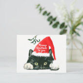 meowy christmas holiday cat santa hat postcard シーズンポストカード (スタンド正面)
