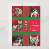 Meowy Christmas Multi Five Cat Photo シーズンカード (正面)