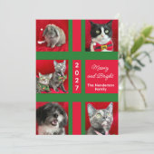 Meowy Christmas Multi Five Cat Photo シーズンカード (スタンド正面)