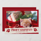 Meowy Christmas Pet Cat写真クリスマスカード シーズンカード (正面/裏面)
