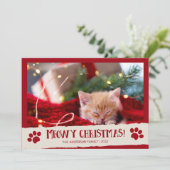 Meowy Christmas Pet Cat写真クリスマスカード シーズンカード (スタンド正面)