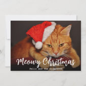 Meowy Christmas Pet Photo Cat with Red Santa Hat  シーズンカード (正面)