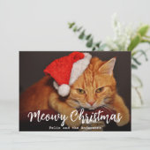 Meowy Christmas Pet Photo Cat with Red Santa Hat  シーズンカード (スタンド正面)